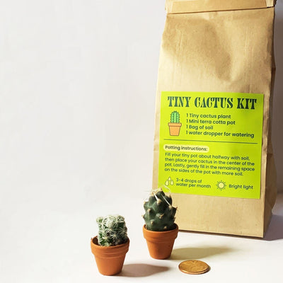 Tiny Cactus Kit - Case of 5