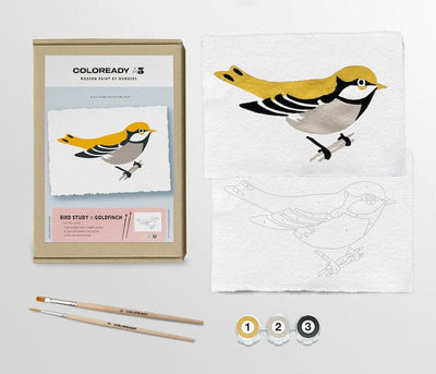 Bird Study: Goldfinch Modern A5 Paint by Number Kit