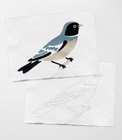 Bird Study: Swallow Modern A5 Paint by Number Kit