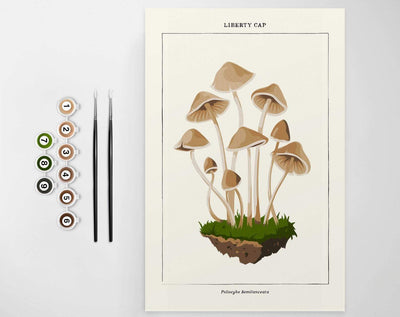 Mushroom Paint by Number Kit