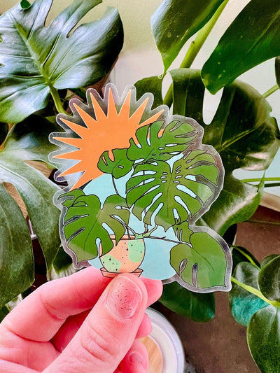 Monstera Plant Clear Sticker - Case of 12