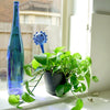 Water Buds - Blown Glass Plant Self Watering Globes