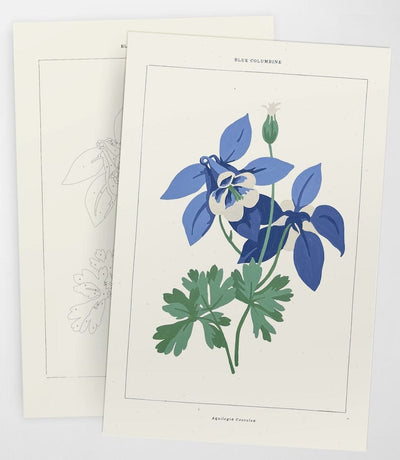 Blue Columbine Botanical Paint By Numbers Kit