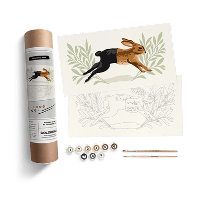 Running Hare Paint by Number Kit